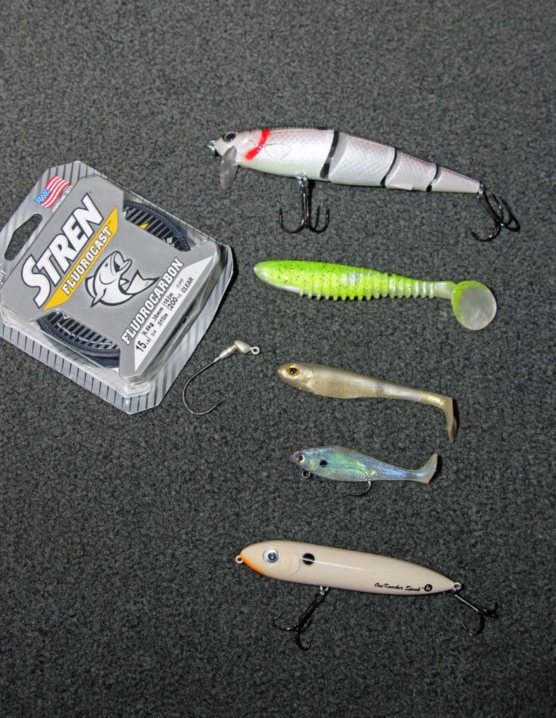 Different kinds for swimbaits for bass.