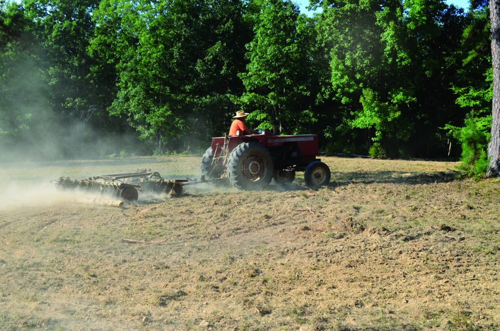 Planting food plots for deer late can be effective for attracting deer and also provide cold season nutrition.