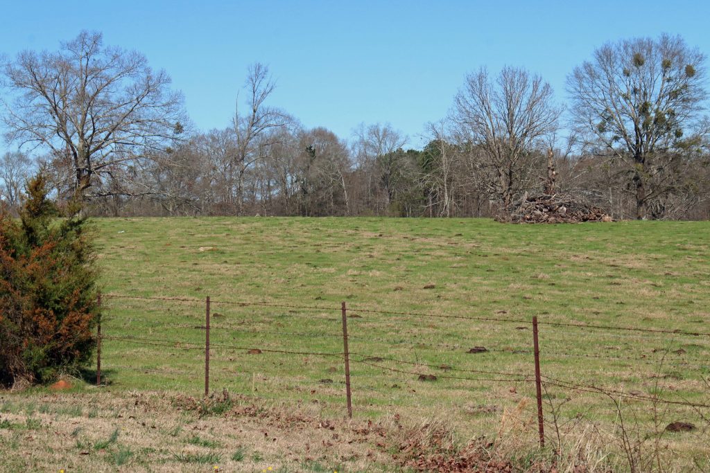 Getting a land appraisal can help determine your land worth.