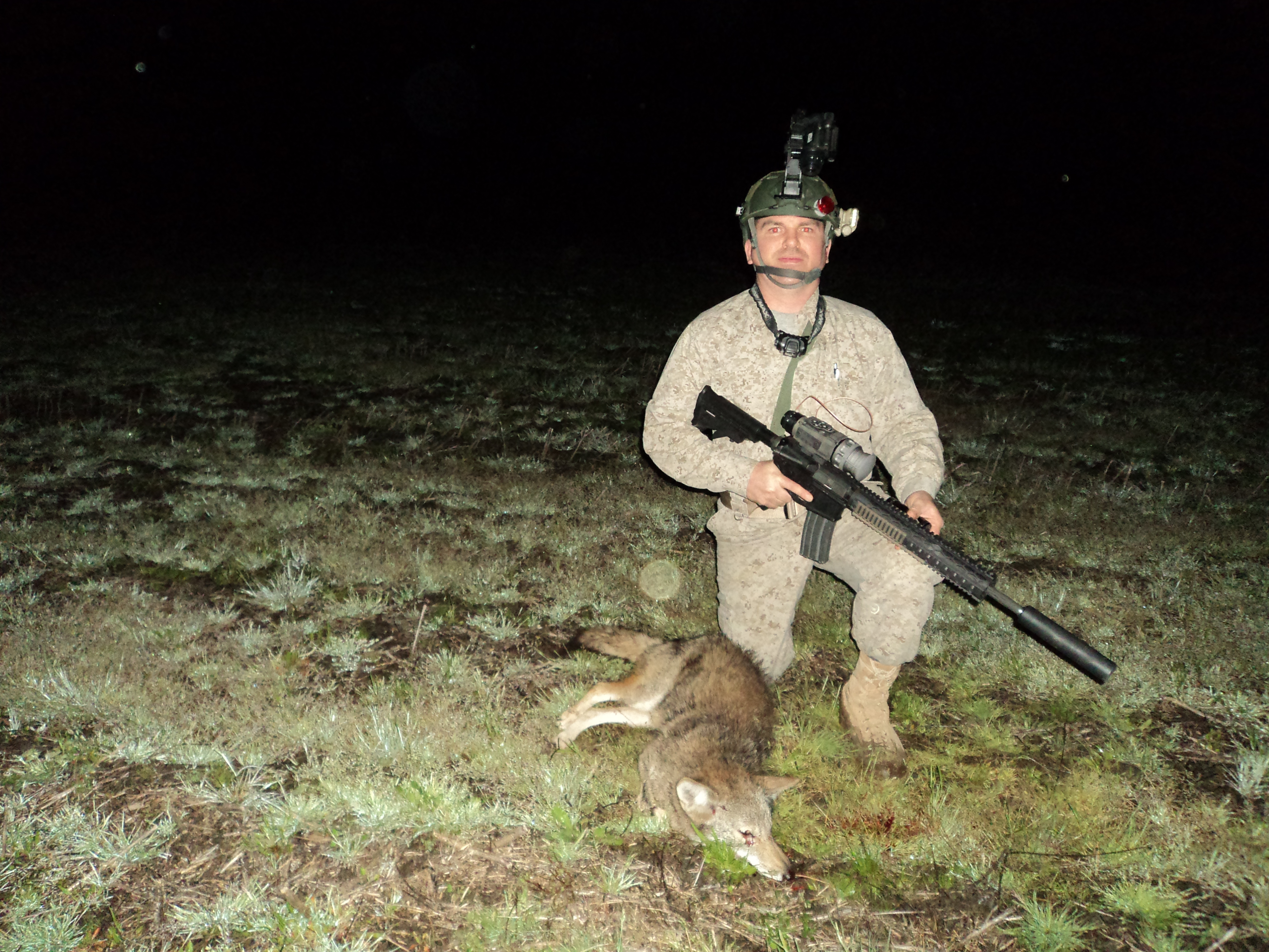 a well outfitted 223 AR-15 will increase your accuracy for long coyote shots