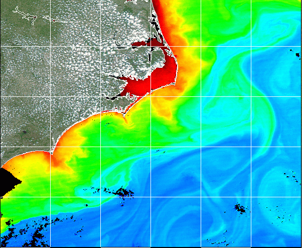 sst charts and chlorophyll satellite images