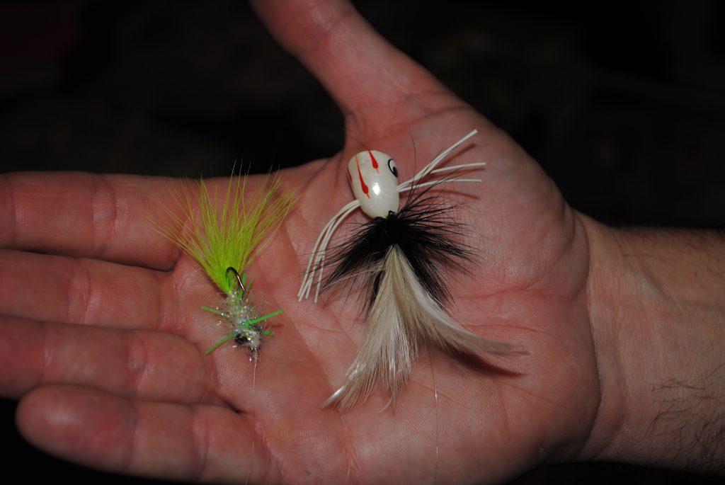 how to fish a popper and popping bugs for bream