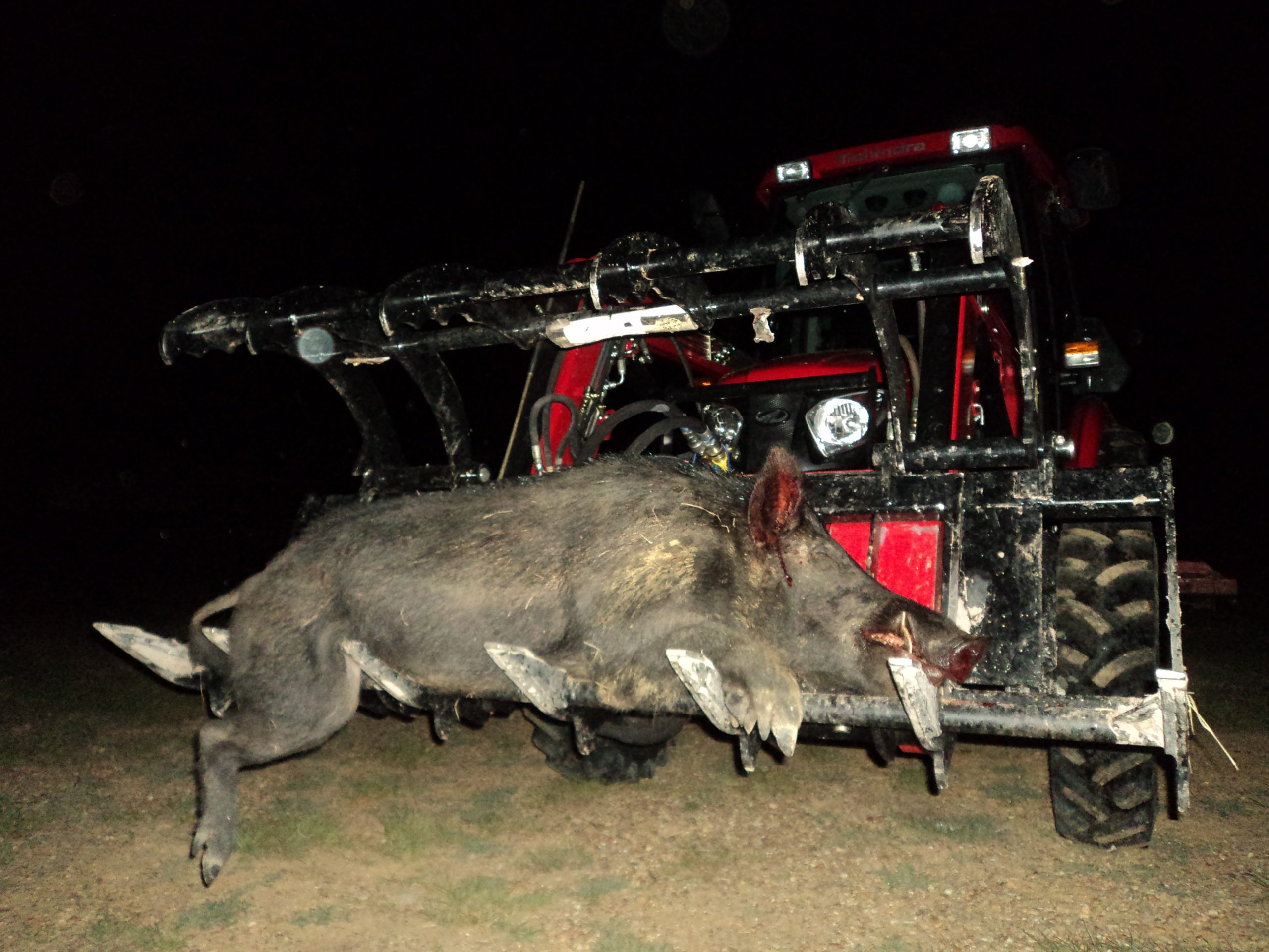 best hog hunting lights for Feeder