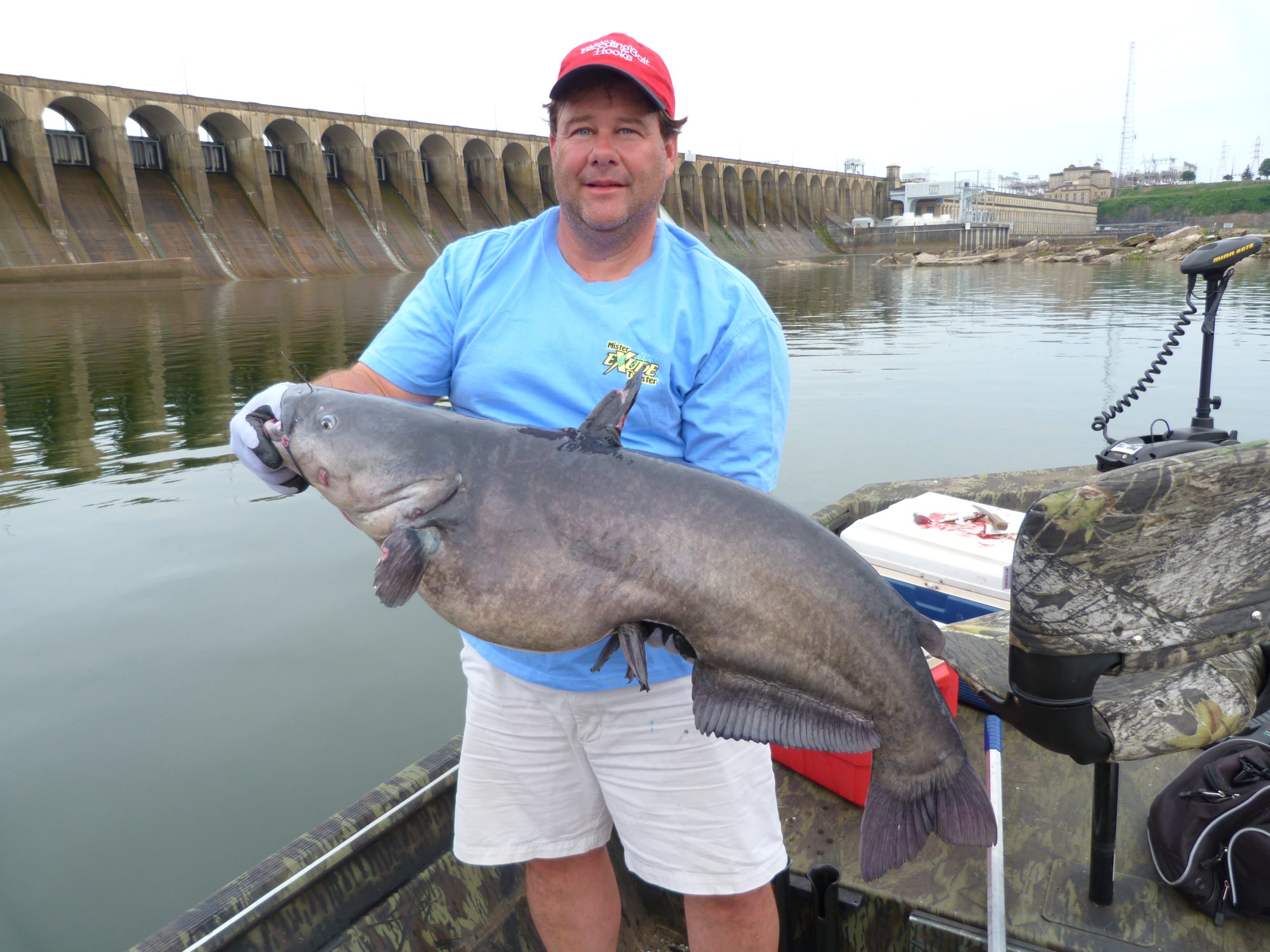 Catching Big Catfish Near Alabama Dams