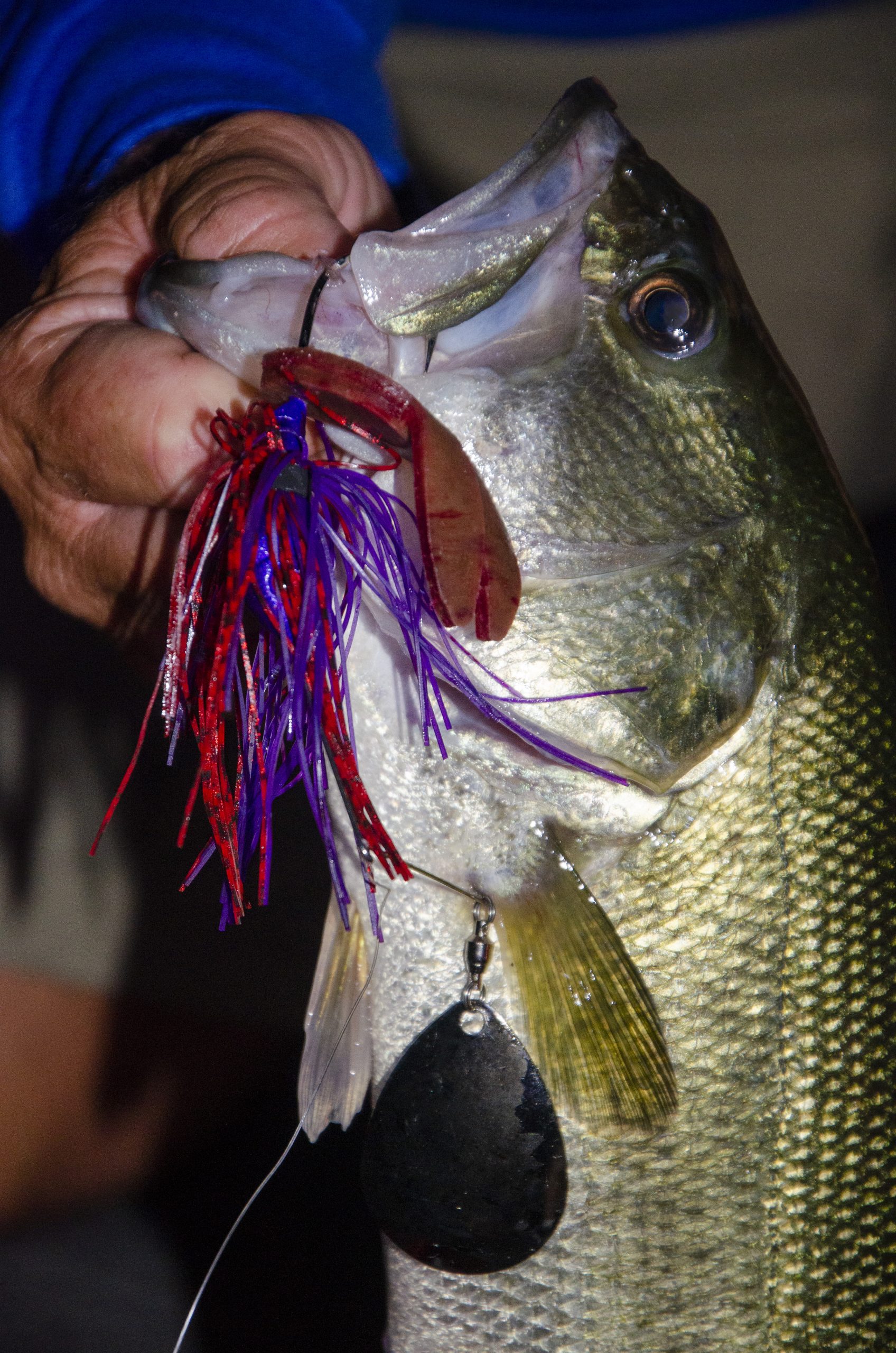what to use for bass fishing at night tips and lures