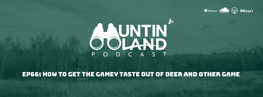 HLP Ep. 66 How to get the gamey taste out of deer and other game