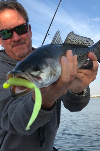 best speckled trout lures dirty boxer