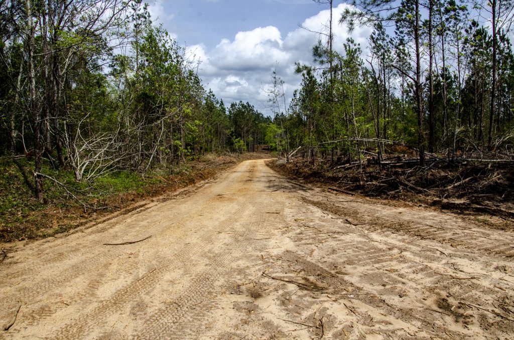 habitat management plan roads