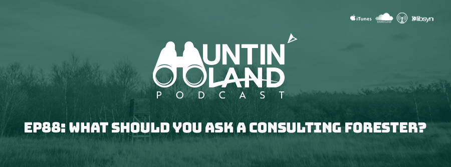 HLP EP 88 What Should You Ask A Consulting Forester