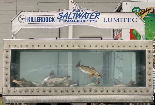 killerdock fish tank