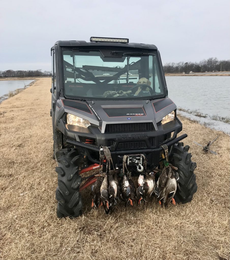 ducks on front of ATV