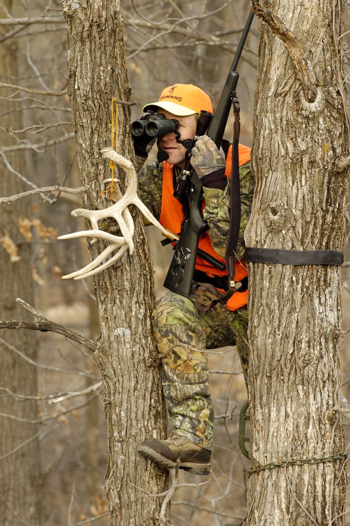 hunter scouting from a tree