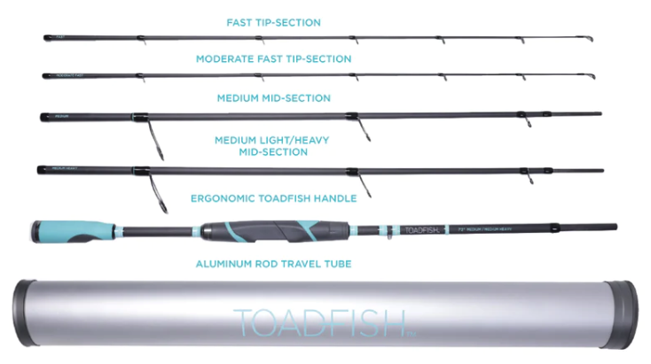 Toadfish Four-In-One Travel Spinning Rod