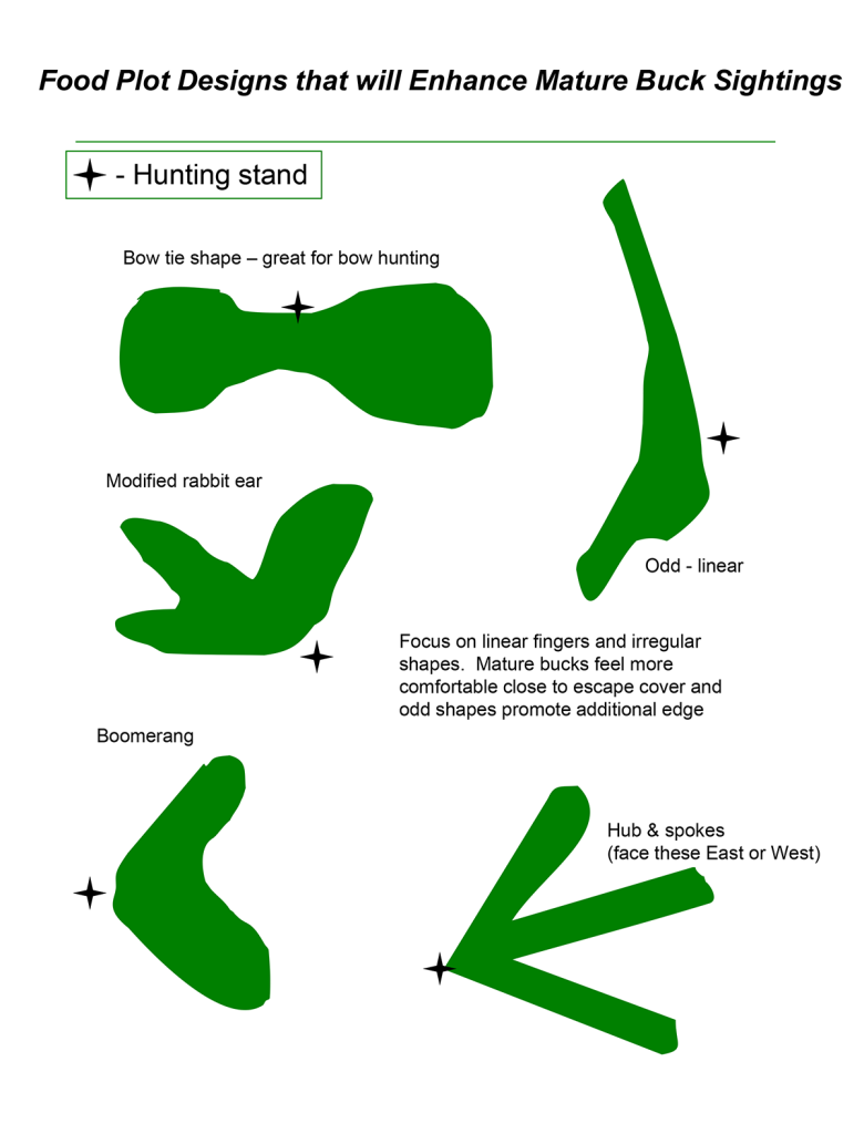 Building a New Food Plot From Scratch